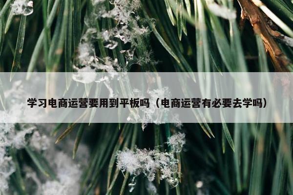 学习电商运营要用到平板吗（电商运营有必要去学吗）