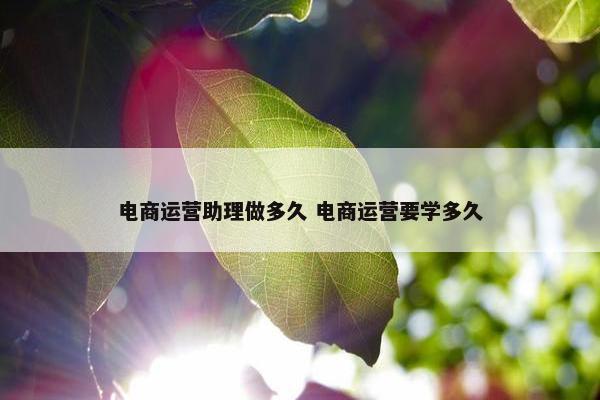 电商运营助理做多久 电商运营要学多久