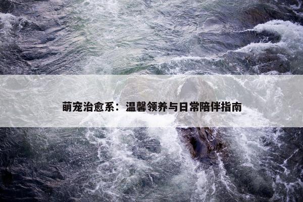 萌宠治愈系：温馨领养与日常陪伴指南