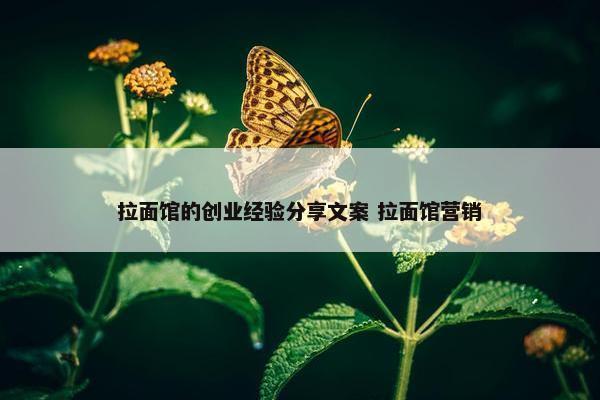 拉面馆的创业经验分享文案 拉面馆营销