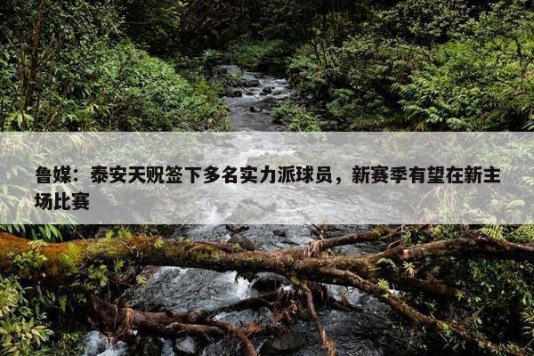 鲁媒：泰安天贶签下多名实力派球员，新赛季有望在新主场比赛