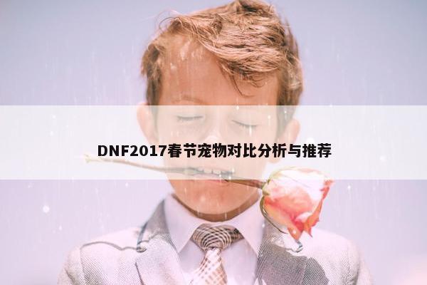 DNF2017春节宠物对比分析与推荐