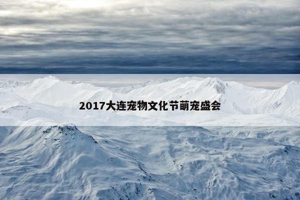 2017大连宠物文化节萌宠盛会