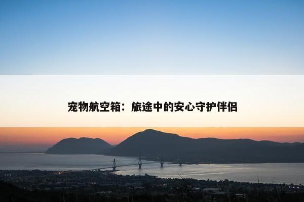 宠物航空箱：旅途中的安心守护伴侣