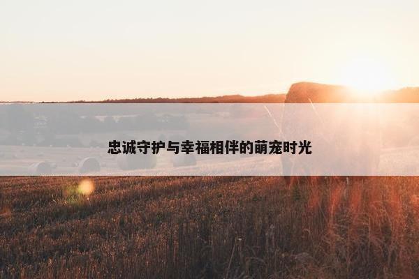 忠诚守护与幸福相伴的萌宠时光