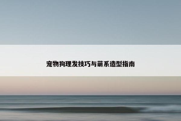 宠物狗理发技巧与萌系造型指南