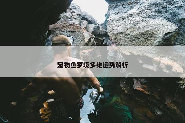 宠物鱼梦境多维运势解析