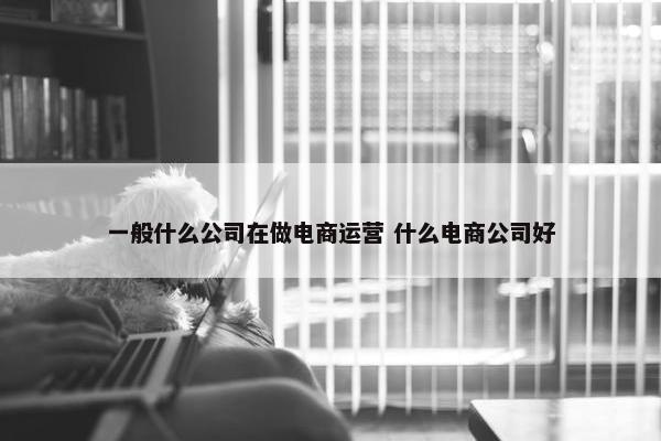 一般什么公司在做电商运营 什么电商公司好