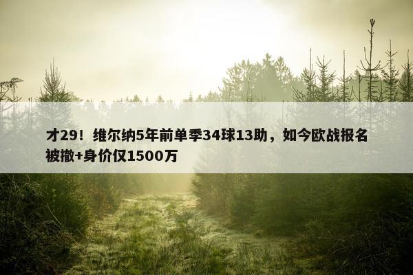 才29！维尔纳5年前单季34球13助，如今欧战报名被撤+身价仅1500万