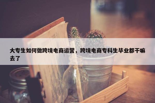 大专生如何做跨境电商运营，跨境电商专科生毕业都干嘛去了