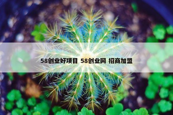 58创业好项目 58创业网 招商加盟