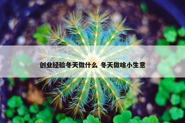 创业经验冬天做什么 冬天做啥小生意