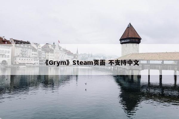 《Grym》Steam页面 不支持中文