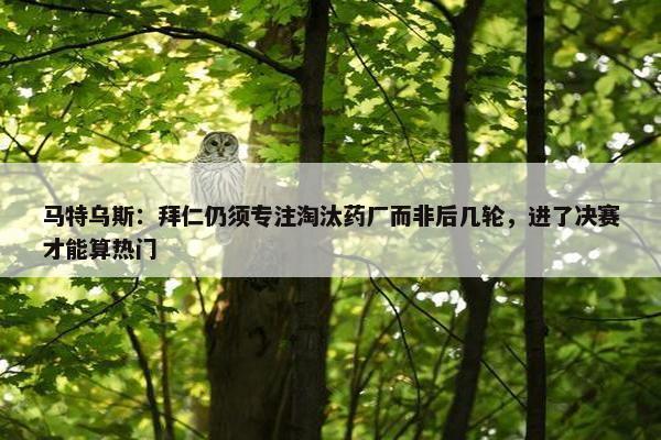 马特乌斯：拜仁仍须专注淘汰药厂而非后几轮，进了决赛才能算热门