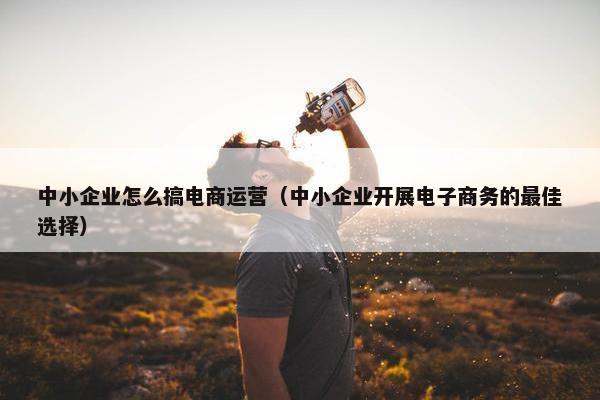 中小企业怎么搞电商运营（中小企业开展电子商务的最佳选择）