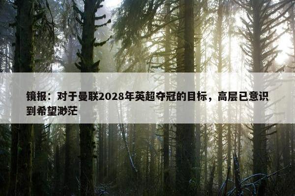 镜报：对于曼联2028年英超夺冠的目标，高层已意识到希望渺茫