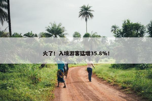 火了！入境游客猛增35.8%！