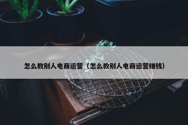 怎么教别人电商运营（怎么教别人电商运营赚钱）