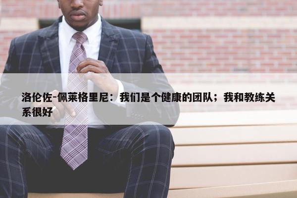 洛伦佐-佩莱格里尼：我们是个健康的团队；我和教练关系很好