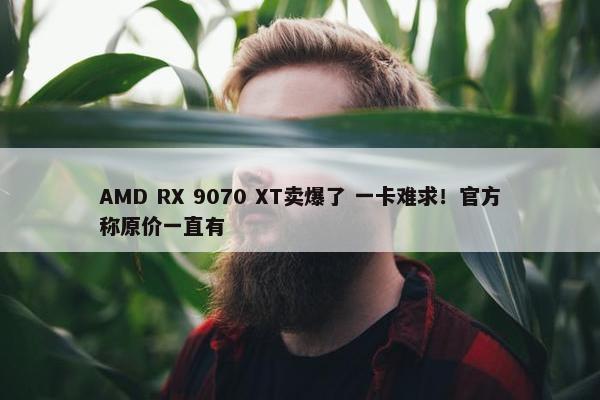 AMD RX 9070 XT卖爆了 一卡难求！官方称原价一直有