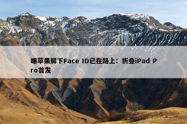 曝苹果屏下Face ID已在路上：折叠iPad Pro首发